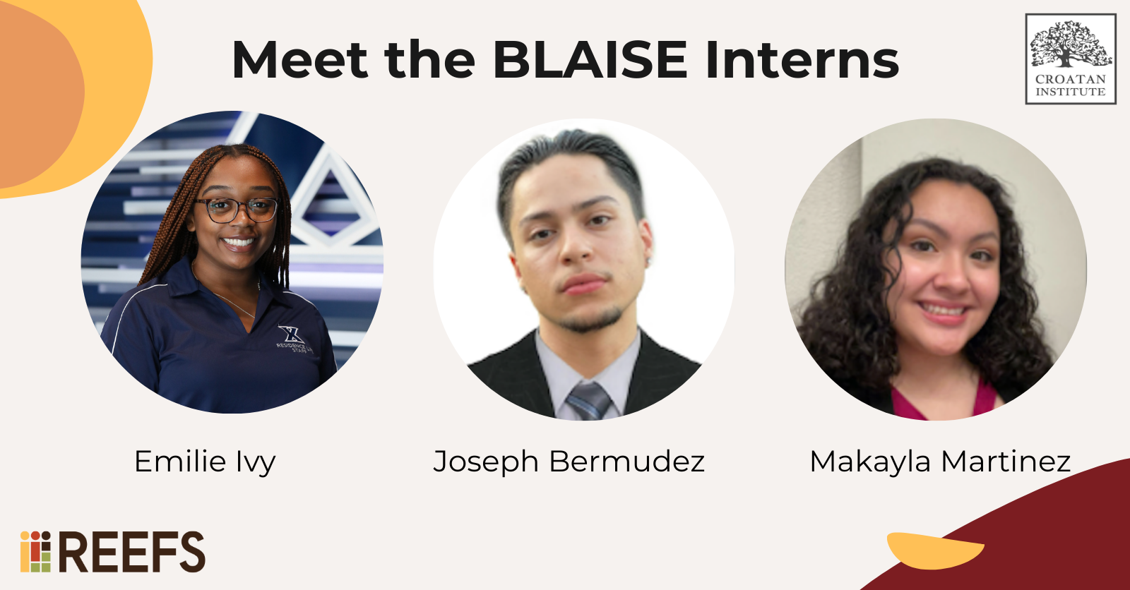 Read more about the article BLAISE Interns Join the Institute